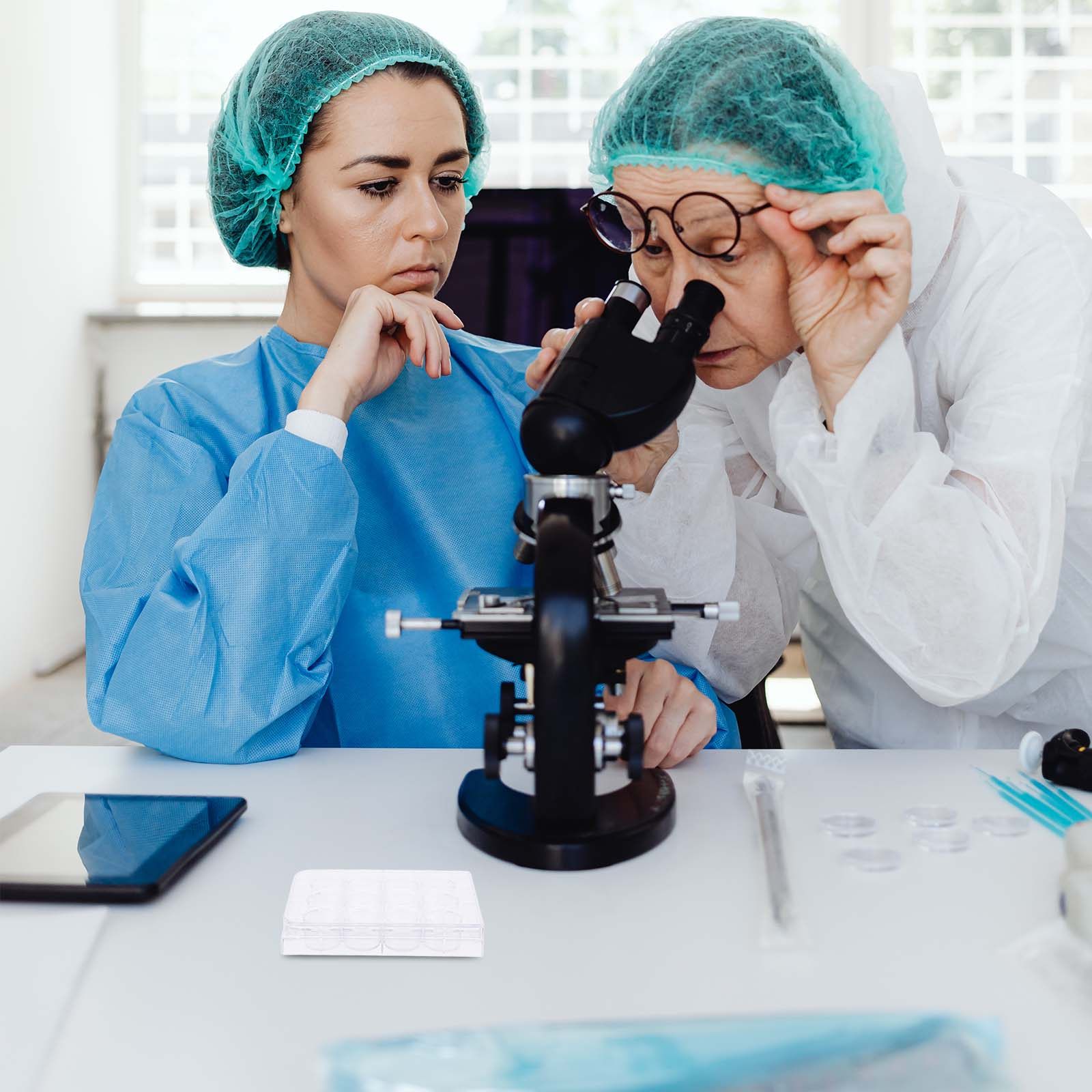 12-Loch-Zellkulturplatte Geweb – Lab Equipment Bewertung und Preis